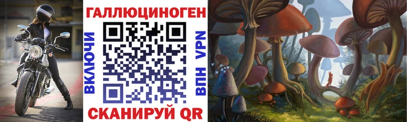 omg   Кулебаки  Псилоцибиновые грибы GOLDEN TEACHER 