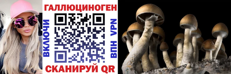 Галлюциногенные грибы Magic Shrooms Кулебаки