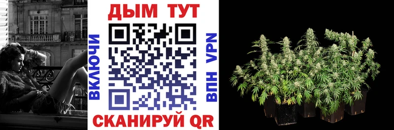 купить   Кулебаки  Канабис OG Kush 